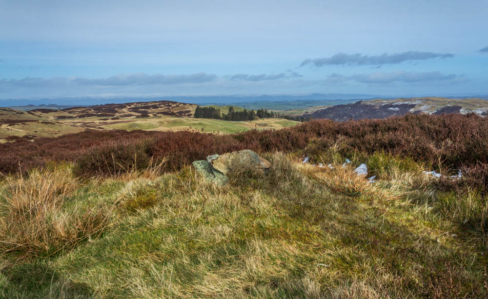 Naddle High Forest
